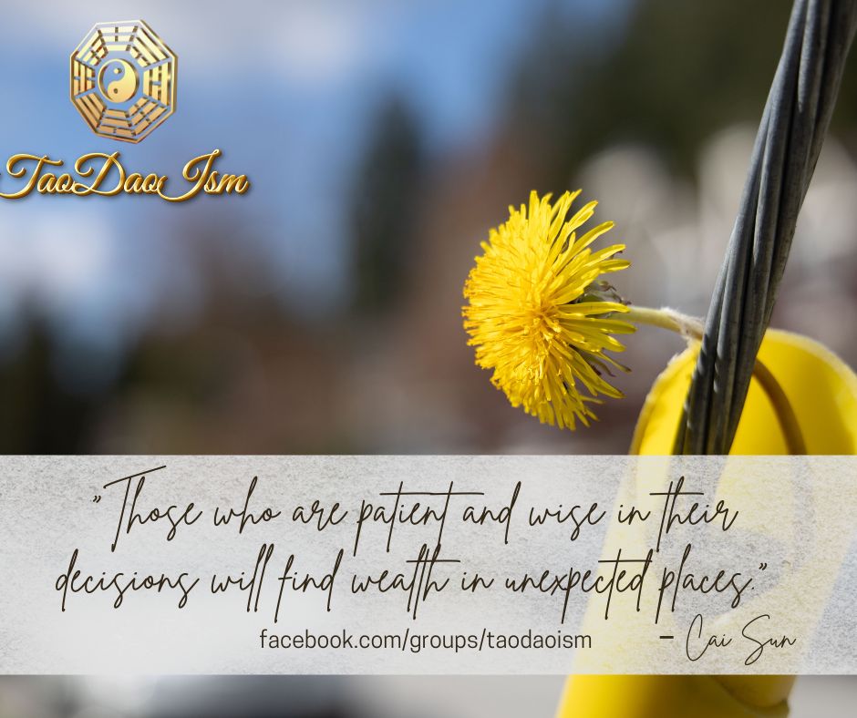 Those who are patient and wise in their decisions will find wealth in unexpected places.